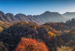 巴中天气