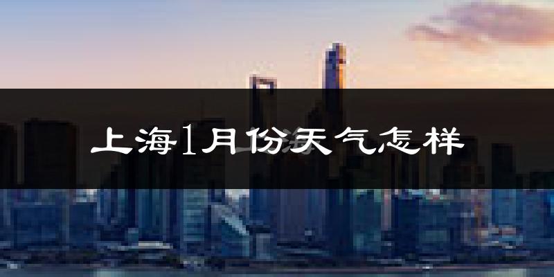 上海1月份天气如何?很冷吗?