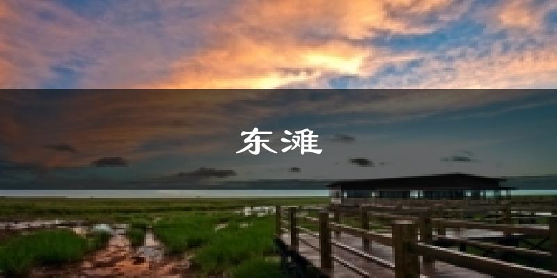 上海崇明东滩天气预报未来一周