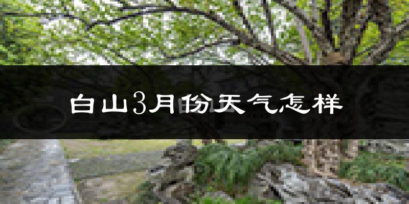白山市3月份天气如何?很冷吗?