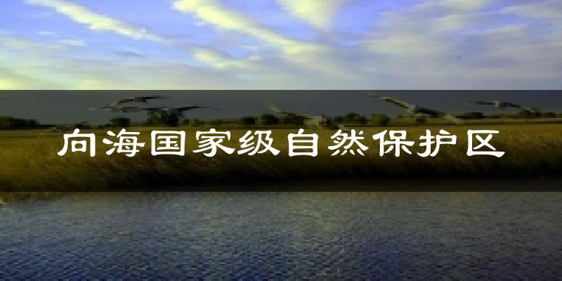 向海国家级自然保护区天气预报十五天