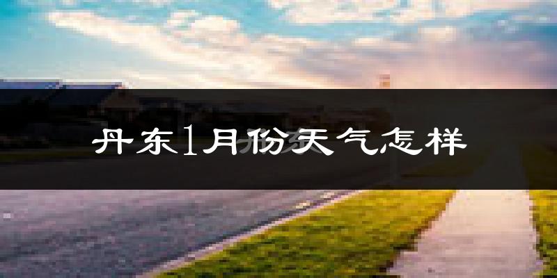 丹东市1月份天气如何?很冷吗?