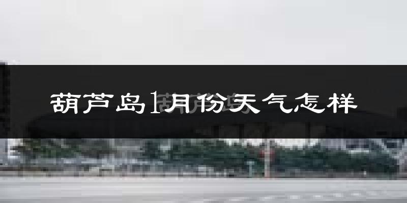 葫芦岛市1月份天气如何?很冷吗?