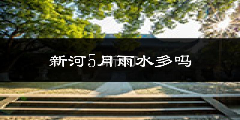 新河5月雨水多吗?