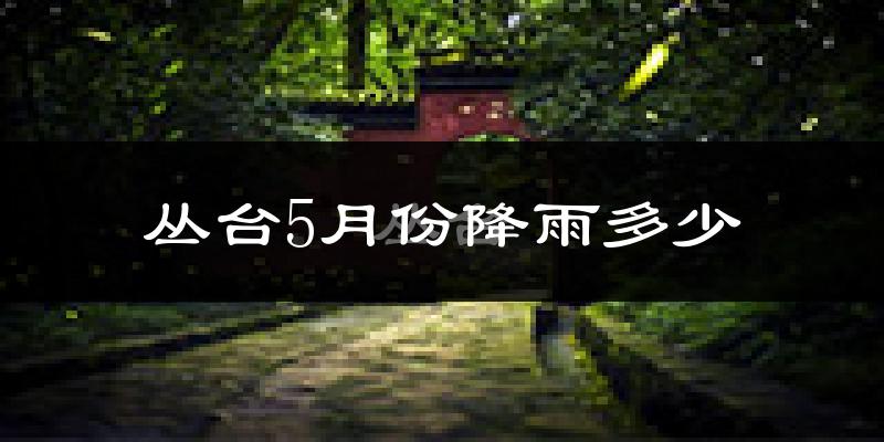 丛台5月份降雨多少?