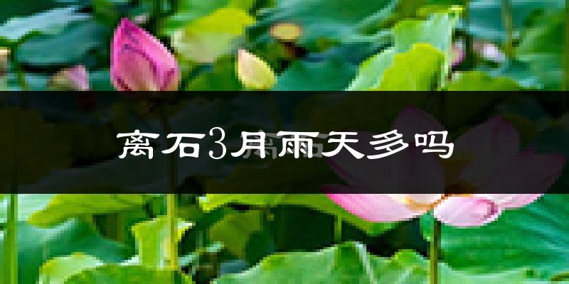 离石3月雨天多吗?