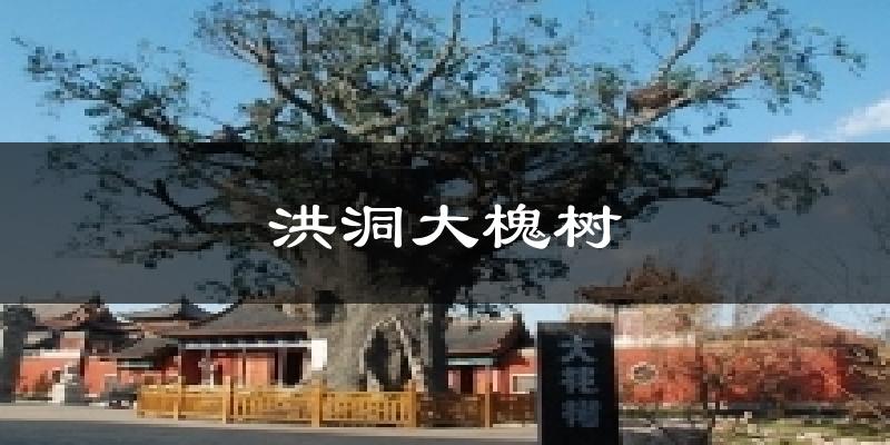 交城洪洞大槐树天气预报未来一周