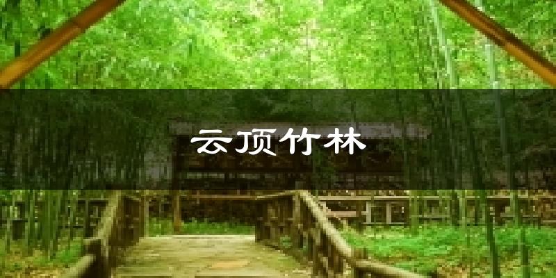 云顶竹林天气预报十五天