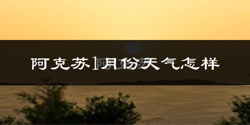 阿克苏市1月份天气如何?很冷吗?