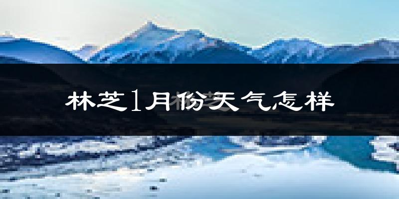 林芝市1月份天气如何?很冷吗?