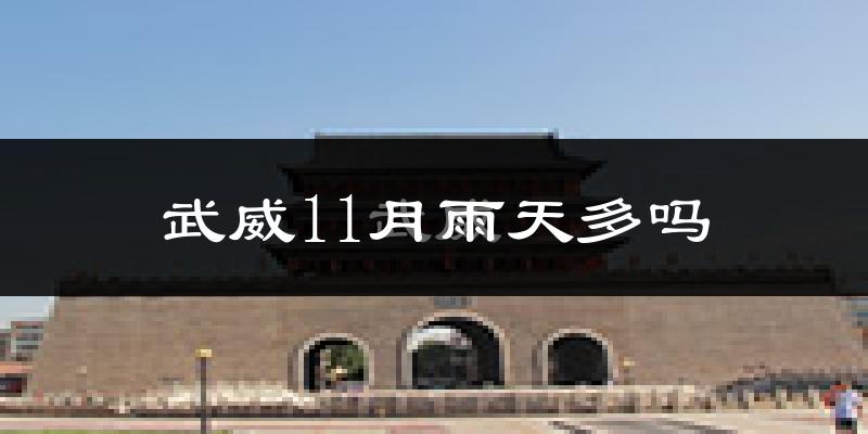 武威11月雨天多吗?