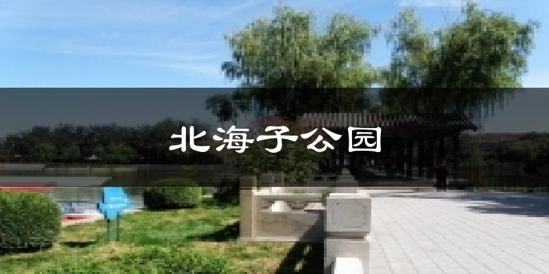 永昌北海子公园天气预报未来一周