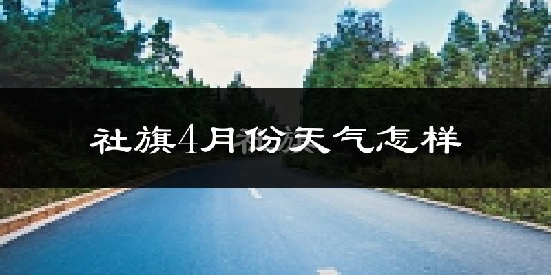 社旗县4月份天气如何?冷热情况怎么样?