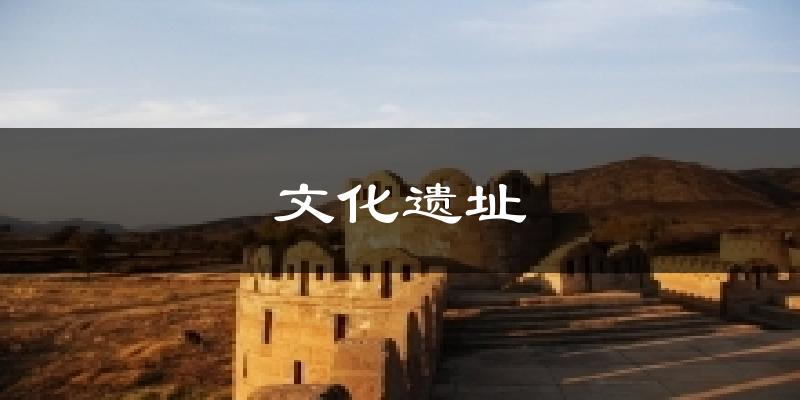 文化遗址天气预报十五天