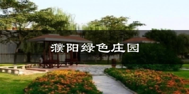 濮阳绿色庄园天气预报十五天