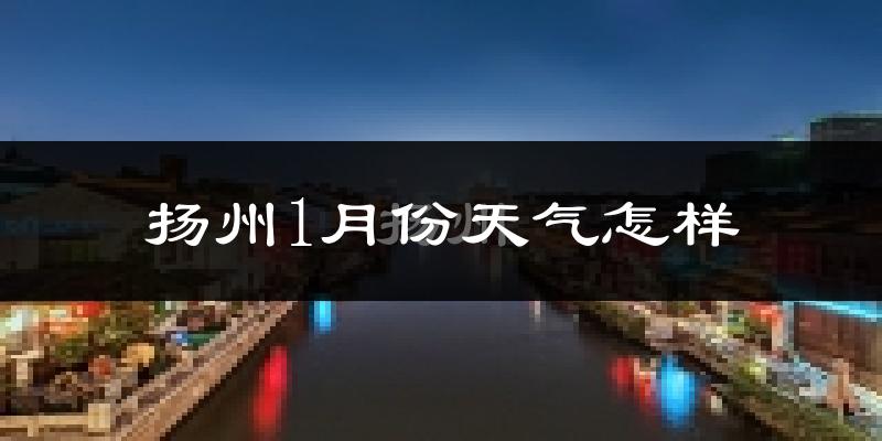 扬州1月份天气如何?很冷吗?