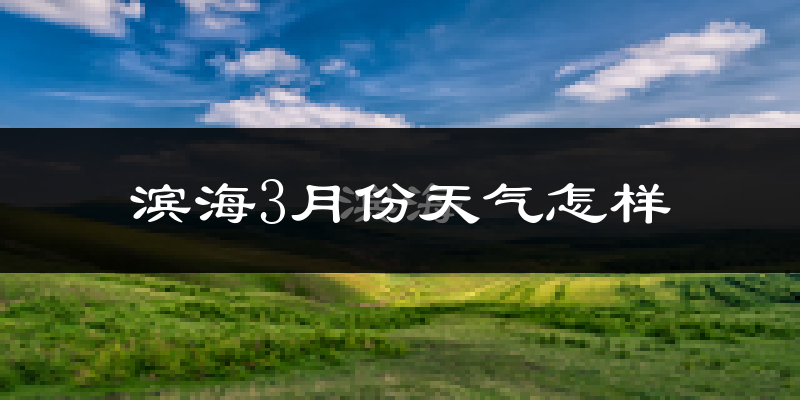 滨海县3月份天气如何?冷吗?过去两年天气对比分析