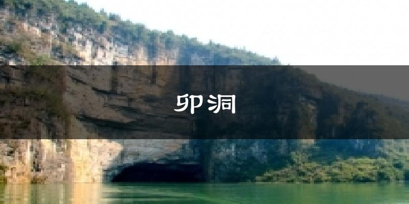 卯洞天气预报十五天