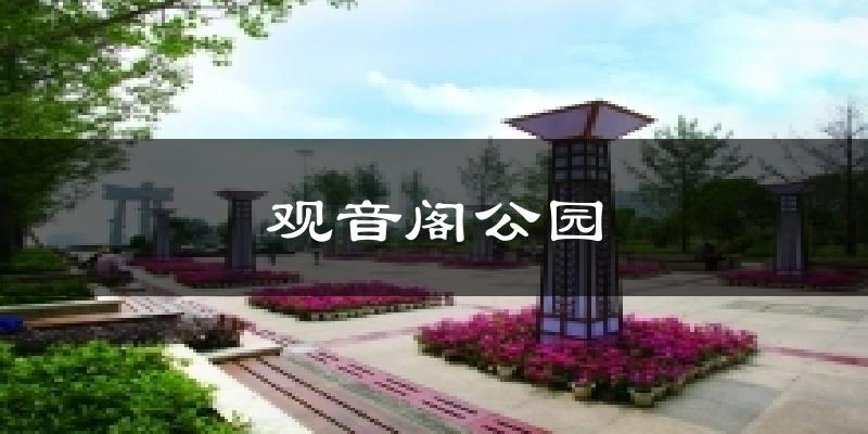 观音阁公园天气预报十五天
