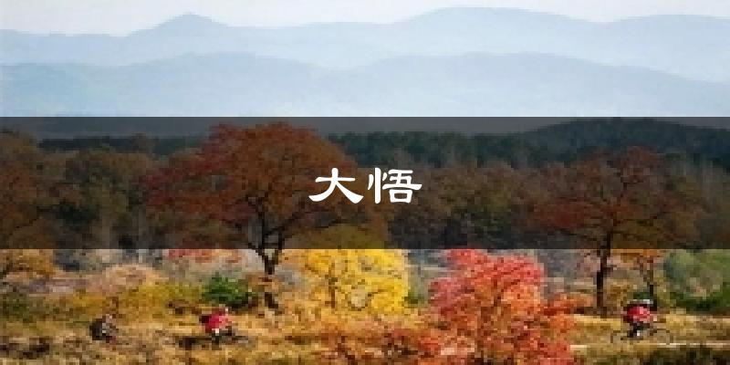 大悟天气预报十五天