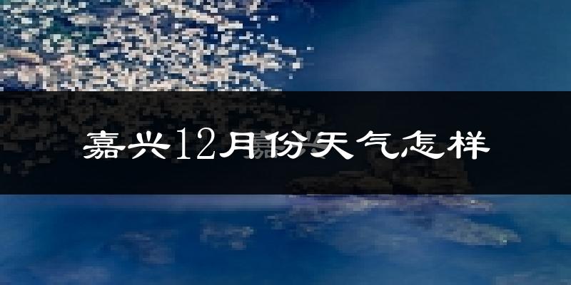嘉兴12月份天气怎样?嘉兴十二月冷吗?