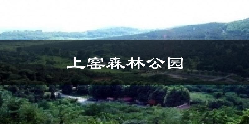 上窑森林公园天气预报十五天