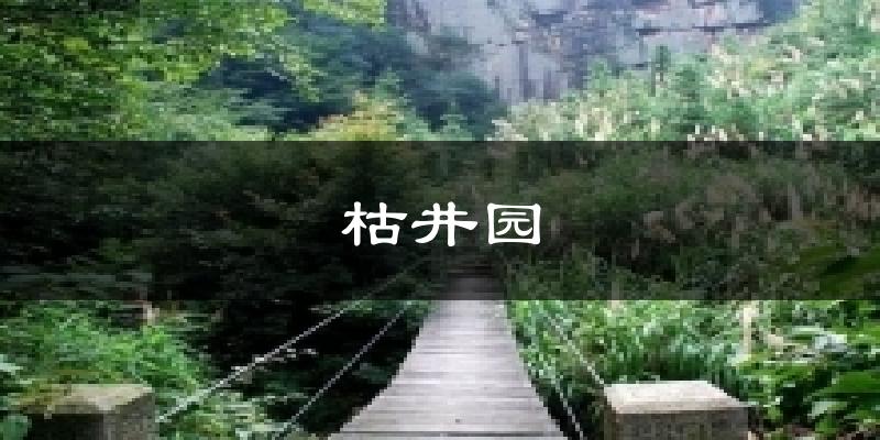 枯井园天气预报十五天