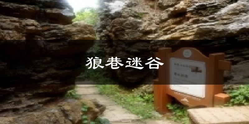 秦皇岛狼巷迷谷天气预报未来一周