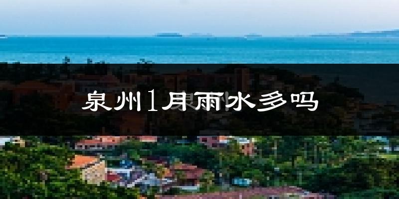 泉州1月雨水多吗?
