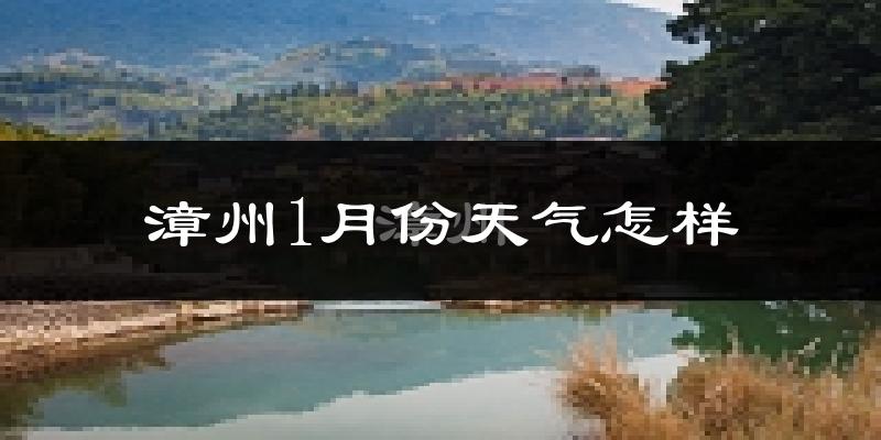 漳州1月份天气如何?很冷吗?