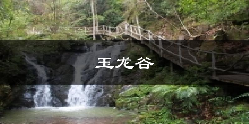 舟山玉龙谷天气预报未来一周
