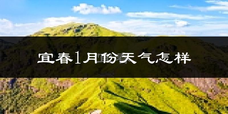 宜春市1月份天气如何?很冷吗?
