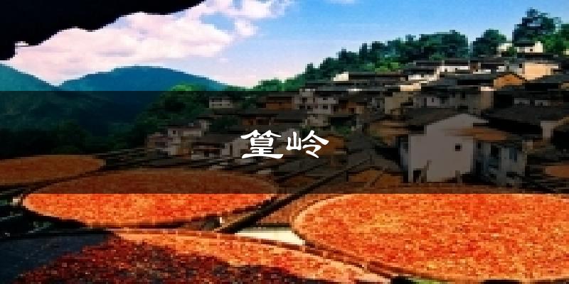 篁岭天气预报十五天