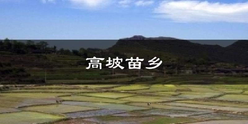 高坡苗乡天气预报十五天