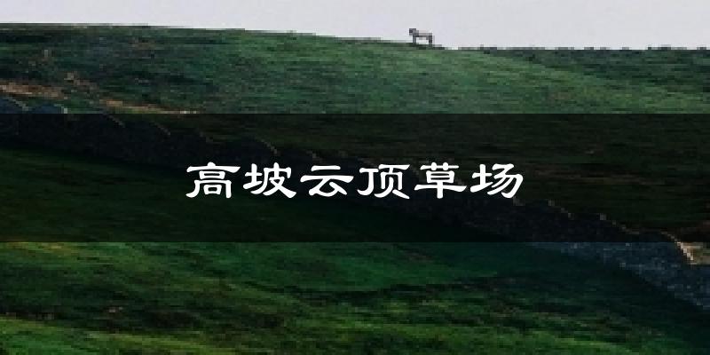交城高坡云顶草场天气预报未来一周