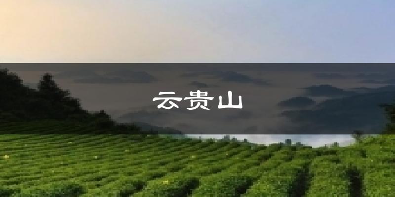 云贵山天气预报十五天