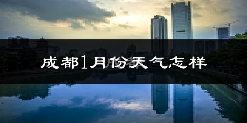 成都1月份天气如何?很冷吗?