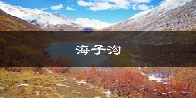 海子沟天气预报十五天