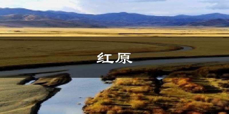 红原天气预报十五天