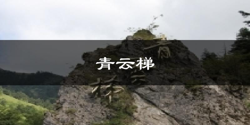 雅安青云梯天气预报未来一周
