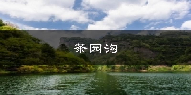 茶园沟天气预报十五天