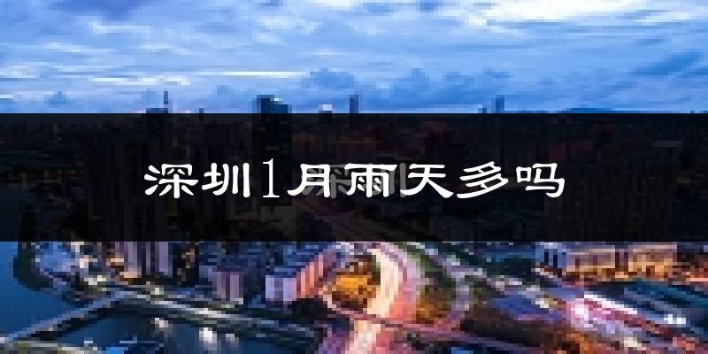 深圳1月雨天多吗?