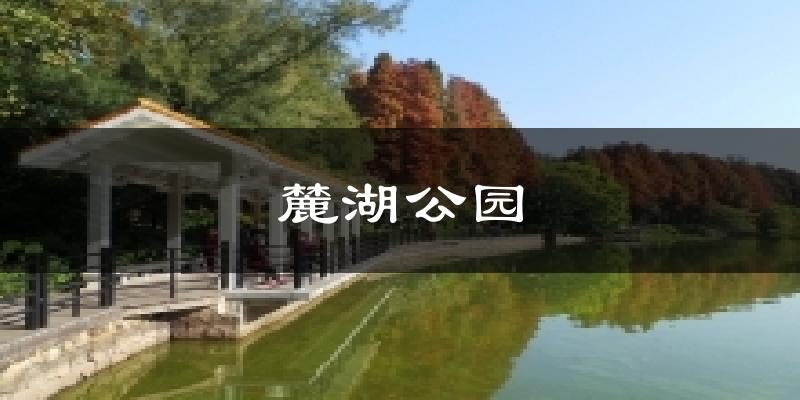 麓湖公园气温