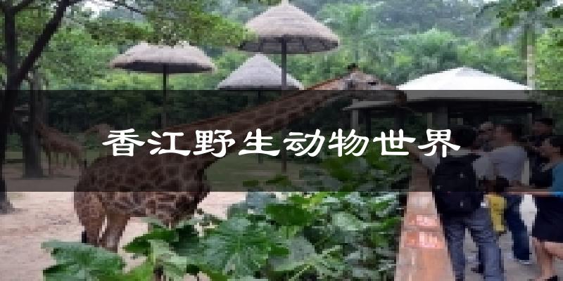 德阳香江野生动物世界天气预报未来一周