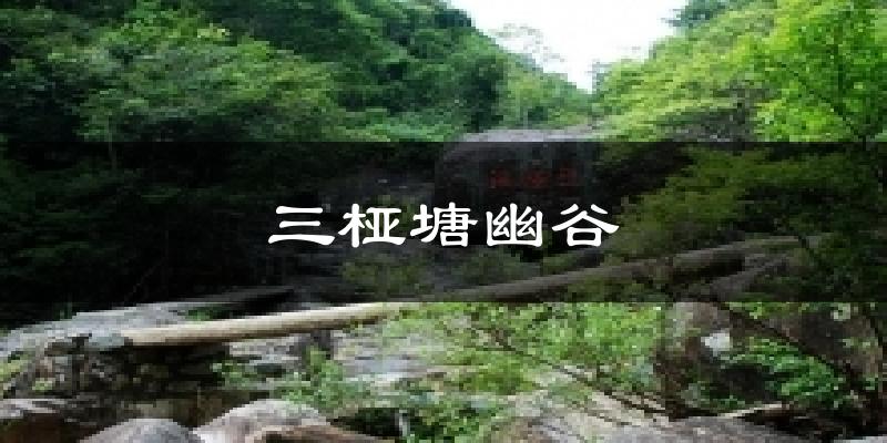 三桠塘幽谷天气预报十五天