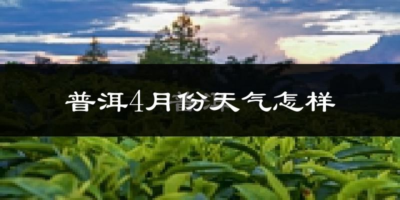 普洱市4月份天气如何?热吗?