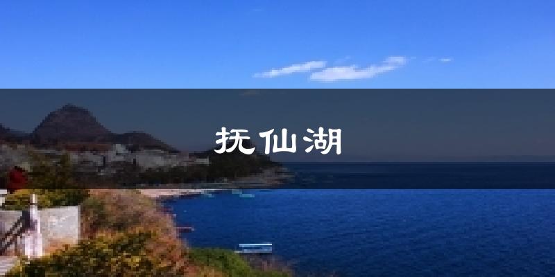 抚仙湖天气预报十五天