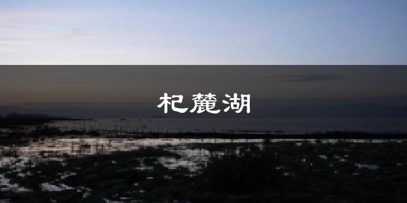 杞麓湖天气预报十五天