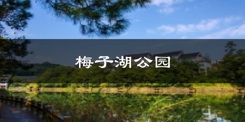梅子湖公园天气预报十五天