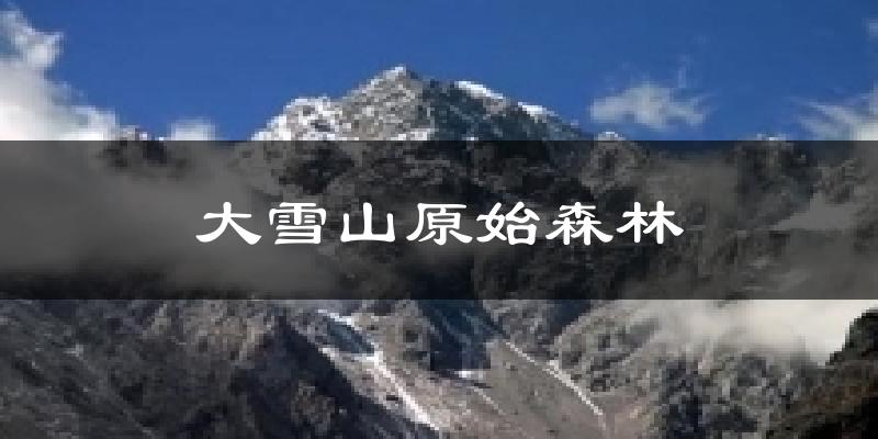 保山大雪山原始森林天气预报未来一周